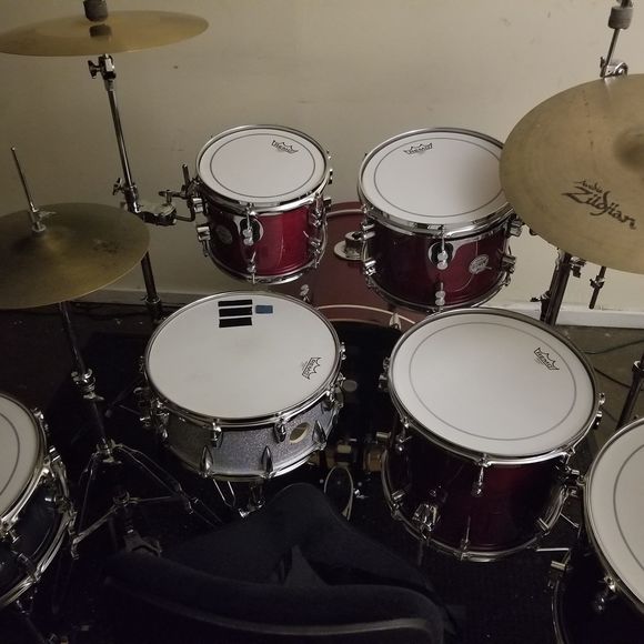 Meet your Posher, Bean - Picture 1 of 1